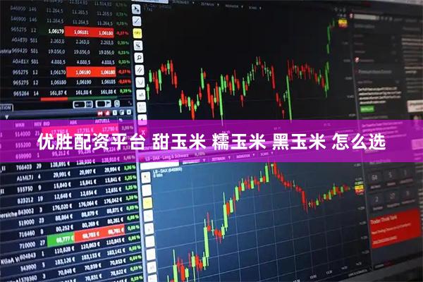 优胜配资平台 甜玉米 糯玉米 黑玉米 怎么选