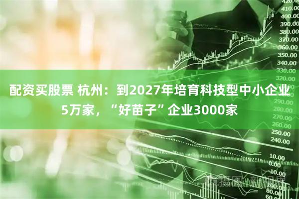 配资买股票 杭州：到2027年培育科技型中小企业5万家，“好苗子”企业3000家
