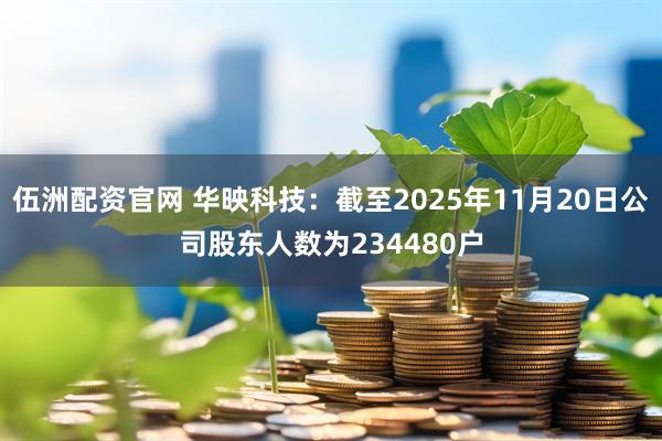 伍洲配资官网 华映科技：截至2025年11月20日公司股东人数为234480户
