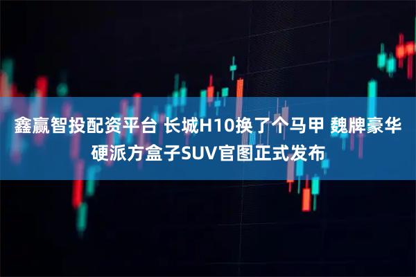 鑫赢智投配资平台 长城H10换了个马甲 魏牌豪华硬派方盒子SUV官图正式发布